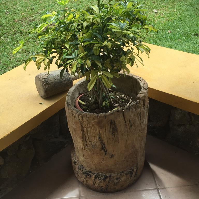 Airport Rio Segundo Studio Bed & Breakfast Alajuela Exterior photo